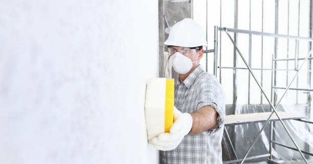 Mold Remediation for Rental Properties in Agoura Hills, CA