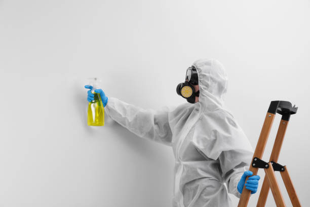 Best Residential Mold Inspection & Testing  in Agoura Hills, CA